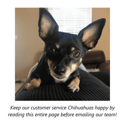 customer service chihuahua 2